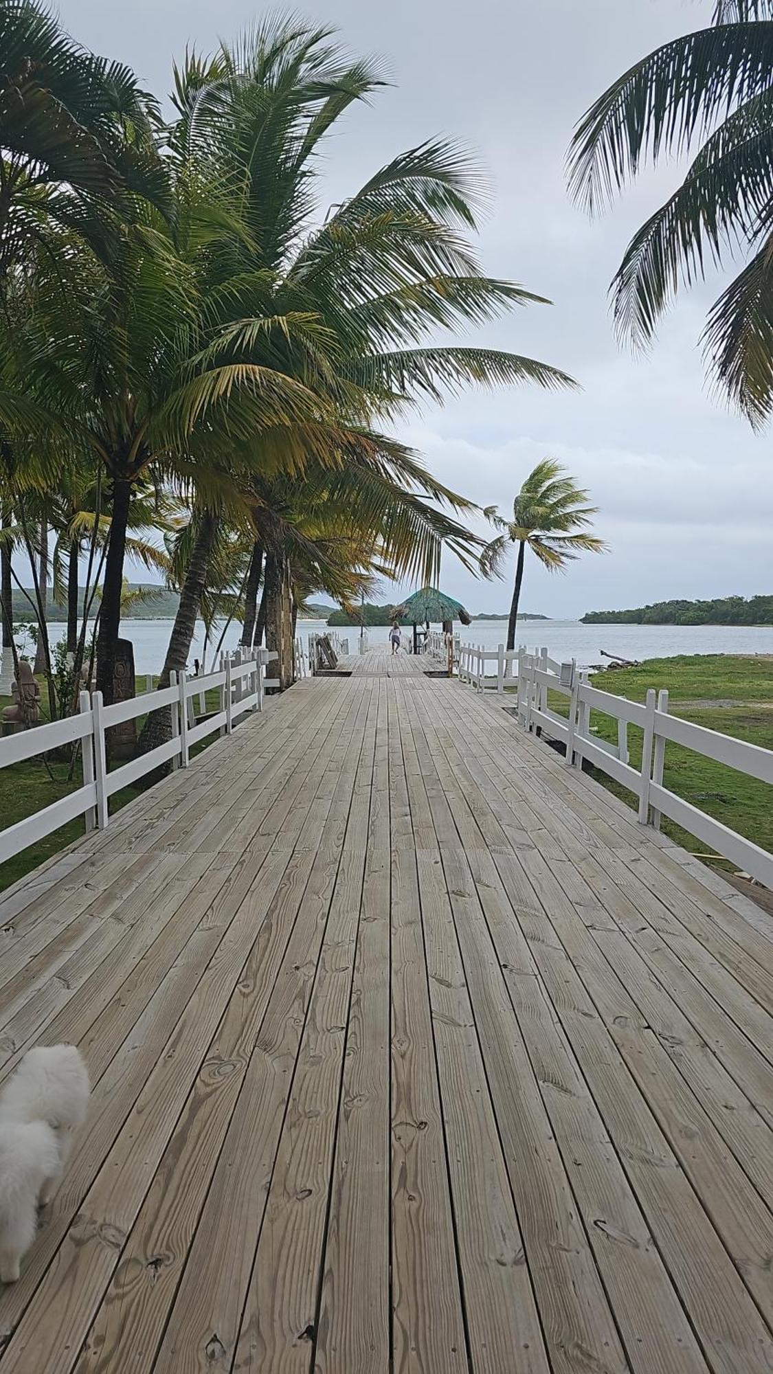 Las Palmas Joliet Corozal  Dış mekan fotoğraf